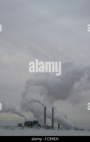 Centrale thermique au charbon sur un jour nuageux gris avec premier plan brumeux Banque D'Images