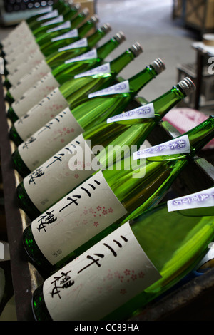 Ligne de bouteille de sake sur chevalets en bois marqué juste Banque D'Images