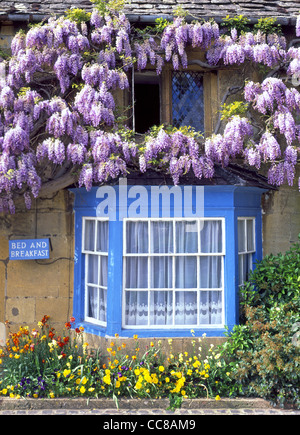 Chambres d'hôtes signer de glycine en fleur sur mur dans les Cotswolds cottage Banque D'Images