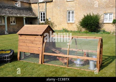 Un poulet dans un clapier à Cotswold cottage garden UK Banque D'Images