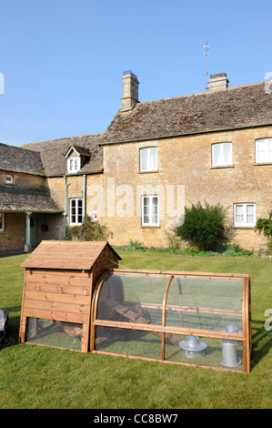 Un poulet dans un clapier à Cotswold cottage garden UK Banque D'Images