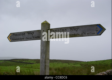 Sur le sentier Pennine Way entre Grassholme Farm et Middleton-in-Teesdale, County Durham, Angleterre Banque D'Images