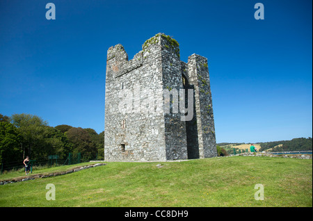 Le 15ème siècle maison-tour de Audley's Castle, Château Ward Estate, comté de Down, Irlande du Nord. Banque D'Images