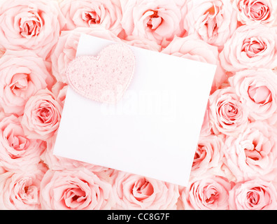 Des roses fraîches roses avec fond blanc isolé du cœur de l'amour carte de vœux, concept Banque D'Images