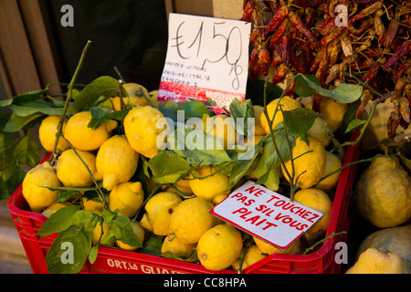 Les citrons en vente à Amalfi, Italie Banque D'Images