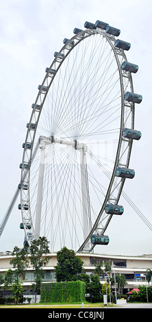 Singapore Flyer - plus grand flyer dans le monde Banque D'Images