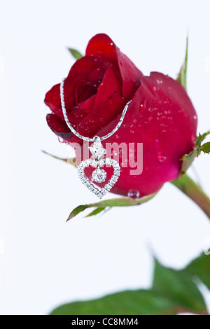 Pendentif Coeur avec diamant et rose rouge sur fond blanc Banque D'Images