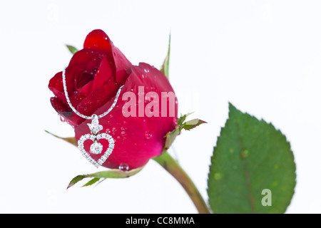 Pendentif Coeur avec diamant et rose rouge sur fond blanc Banque D'Images