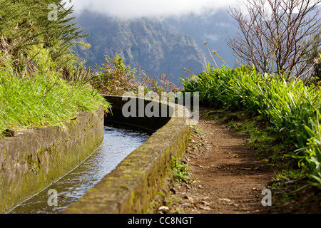 Canal d'irrigation, levada Banque D'Images