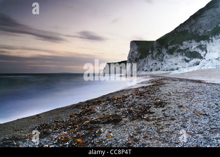 Plage de Dorset, Angleterre, Royaume-Uni à l'égard bat cove et swyre, tête de Lulworth nr Banque D'Images