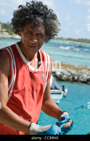 Polynésie française les huîtres Manihi Banque D'Images