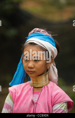 La jeune fille de hilltribe Padaung Banque D'Images