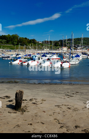 Port de Lyme Regis dorset england uk Banque D'Images