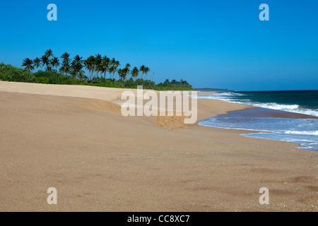 Vue d'Marakolliya beach au Sri Lanka Banque D'Images
