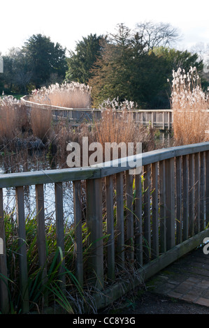 La promenade sur un coin du lac en 76200 Park. Banque D'Images