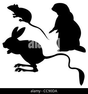 Animal silhouettes sur fond blanc Banque D'Images