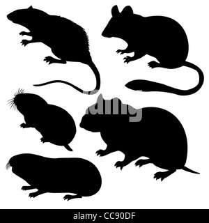 Vector silhouettes rodent sur fond blanc Banque D'Images