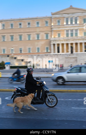 Attaques de chien un scooter en face de la Maison du Parlement, Athènes, Grèce, Europe Banque D'Images