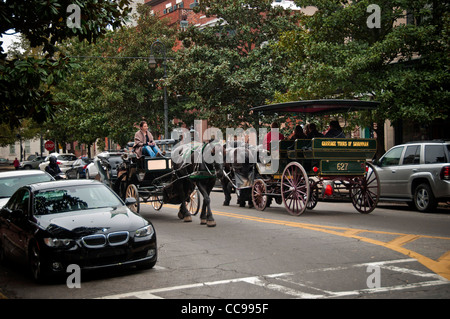 Les touristes étant indiqué dans le quartier historique de Savannah Georgia USA à partir d'une voiture à cheval Banque D'Images