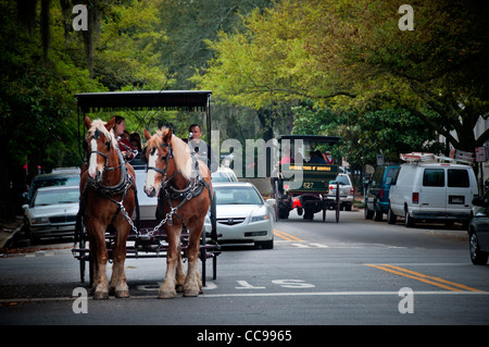 Les touristes étant indiqué dans le quartier historique de Savannah Georgia USA à partir d'une voiture à cheval Banque D'Images