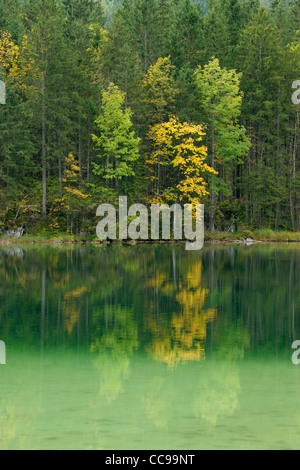 Lac Hintersee en automne, le parc national de Berchtesgaden, en Bavière, Allemagne Banque D'Images