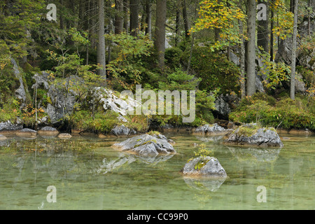 Lac Hintersee, parc national de Berchtesgaden, en Bavière, Allemagne Banque D'Images