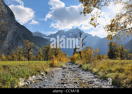 Ruisseau de montagne à l'automne, Grosser Ahornboden, Karwendel, Tyrol, Autriche Banque D'Images