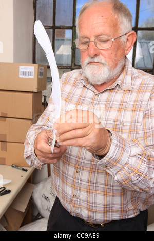 Dan Jaffe traditionnels de plumes à la main en plumes d'autruche quelque temps ou peacock sont utilisés dans le Devon Banque D'Images