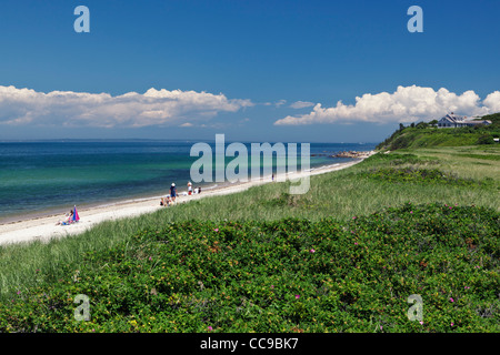 Plage Menemsha Martha's Vineyard Massachusetts New England USA Banque D'Images