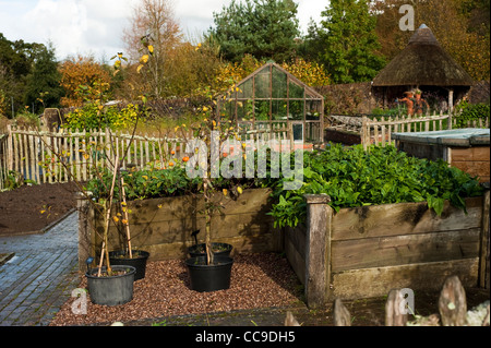 Les fruits et légumes dans le jardin de l'automne, RHS Rosemoor, Devon, Angleterre, Royaume-Uni Banque D'Images