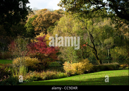 Le lac en automne, RHS Rosemoor, Devon, Angleterre, Royaume-Uni Banque D'Images