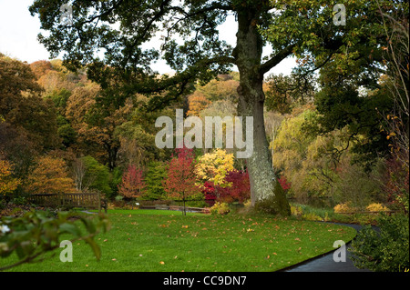 Le lac en automne, RHS Rosemoor, Devon, Angleterre, Royaume-Uni Banque D'Images