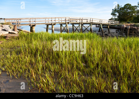 Un pont piétonnier en bois au-dessus de Clam Creek marque l'entrée de Driftwood Beach sur Jekyll Island, en Géorgie Banque D'Images