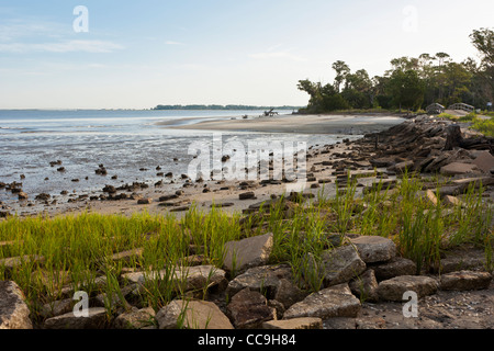 Côte d'herbe près de chez Driftwood Beach sur Jekyll Island, Géorgie, à marée basse. Banque D'Images