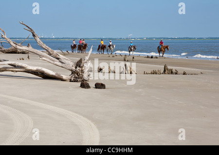 Les touristes de l'équitation sur Driftwood Beach sur Jekyll Island, Géorgie Banque D'Images