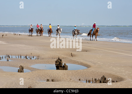 Les touristes de l'équitation sur Driftwood Beach sur Jekyll Island, Géorgie Banque D'Images