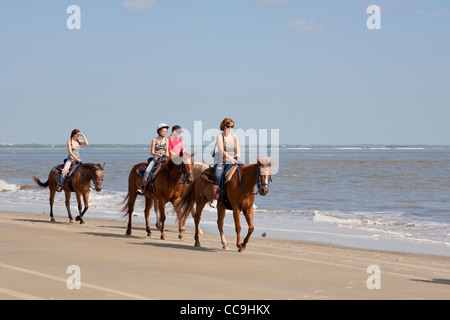 Les touristes de l'équitation sur Driftwood Beach sur Jekyll Island, Géorgie Banque D'Images