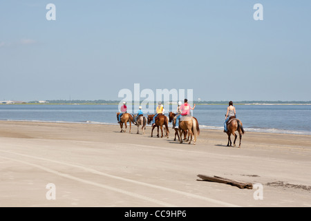 Les touristes de l'équitation sur Driftwood Beach sur Jekyll Island, Géorgie Banque D'Images