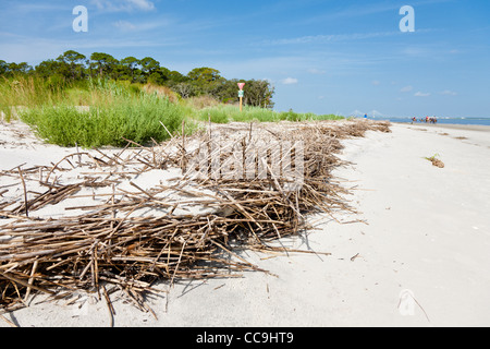 Tentative de signes de garder les visiteurs de dunes de sable de Driftwood Beach sur Jekyll Island, Géorgie Banque D'Images