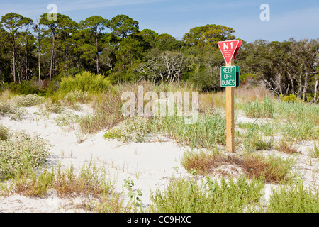 Tentative de signes de garder les visiteurs de dunes de sable de Driftwood Beach sur Jekyll Island, Géorgie Banque D'Images