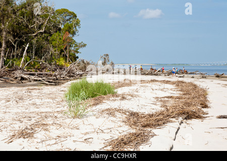 Les touristes de l'équitation sur Driftwood Beach sur Jekyll Island, Géorgie Banque D'Images