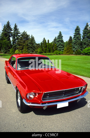 1968 Ford Mustang Pro Street Banque D'Images