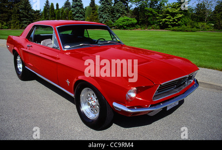 1968 Ford Mustang Pro Street Banque D'Images