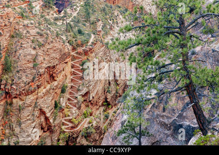 Lacets nommé Walter's Wiggles prendre les randonneurs à Scout Lookout et le sommet de Angels Landing en Utah's Zion National Park. Banque D'Images