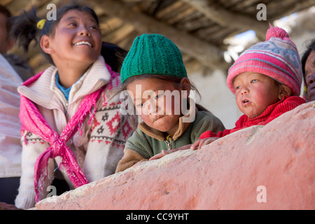 Les enfants nomades Changpa regardant le balcon de Korzok Korzok Gustor de Gompa, le lac Tsomoriri, (Ladakh) Jammu-et-Cachemire, l'Inde Banque D'Images