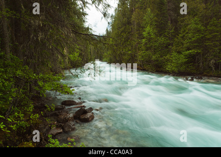 Une vitesse d'obturation lente image d'un torrent de montagne en Colombie-Britannique, Canada. Banque D'Images