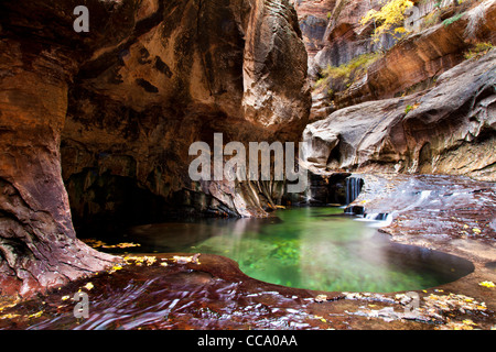 Piscine d'Emeraude dans le métro dans Zion National Park, Utah. Banque D'Images