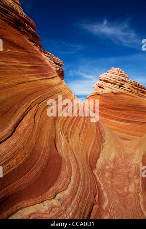 Des formations de grès à la vague (Coyote Buttes). Banque D'Images