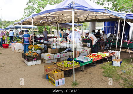 Étal de fruits au marché de fruits et légumes à Yandina, Sunshine Coast, Queensland, Australie Banque D'Images