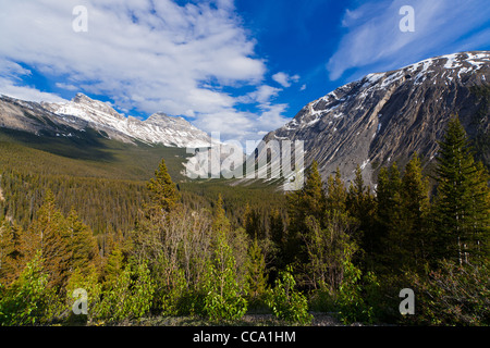 La vue de Cirrus Mountain depuis le pied de la crête de Parker, de l'Alberta, Canada. Banque D'Images